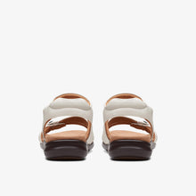 CLARKS KITLY AVE - 26177306